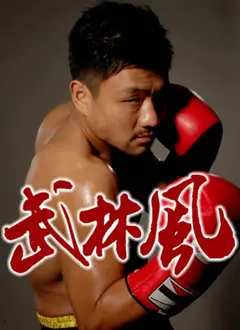 《武林风》：拳拳到肉的真功夫，燃爆你的肾上腺素！硬汉对决，谁能问鼎武林之巅？