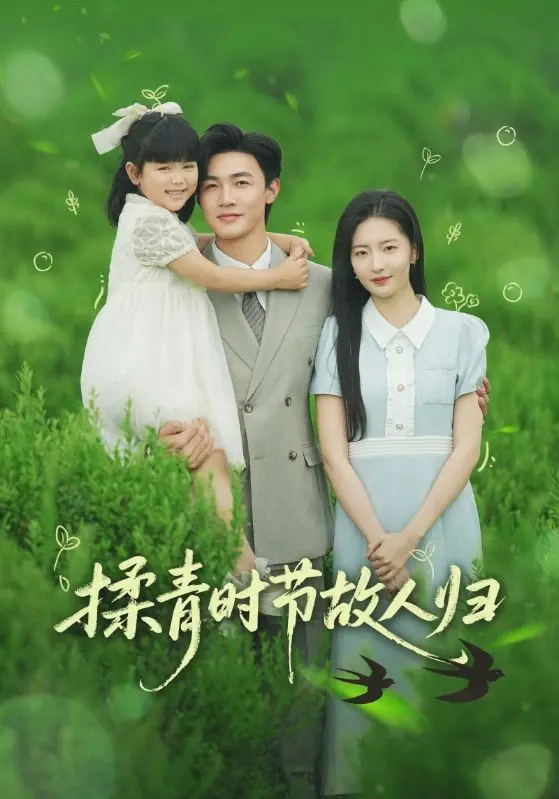 《揉青时节故人归》：茶叶飘香，旧爱重燃，在乡野田园间找寻爱情的真谛